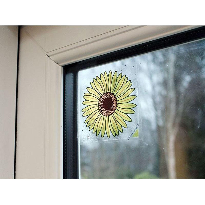 Rentokil Advanced Window Fly Traps (Pack 4) Rentokil - Town Tools