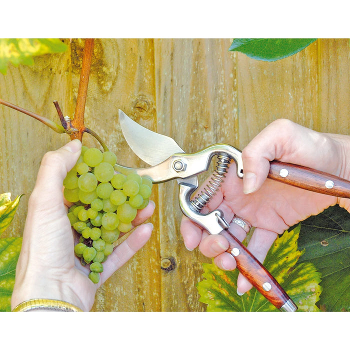 Draper Bypass Pattern Secateurs with Wooden Handles, 210mm - G886