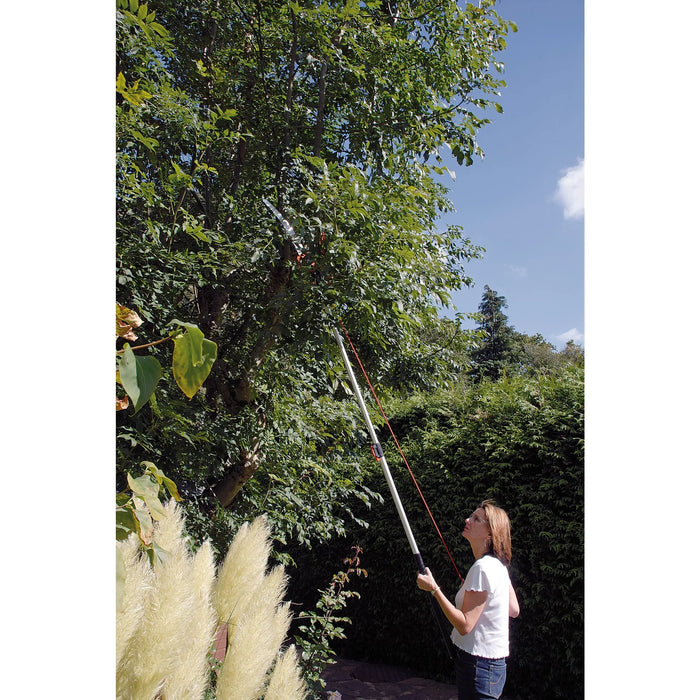 Draper Expert Tree Pruner with Telescopic Handle, 32mm Diameter - G1200/EXP
