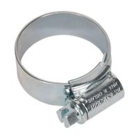 Sealey HI-GRIPï Hose Clip Zinc Plated22-30mm Pack of 20 HCJ1A