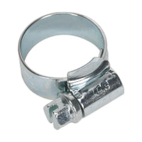 Sealey HI-GRIPï Hose Clip Zinc Plated13-20mm Pack of 30 HCJ00