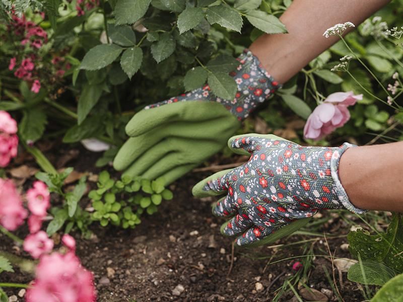Kent & Stowe Weeding Gloves Triple Pack - Ladies Medium Kent & Stowe - Town Tools