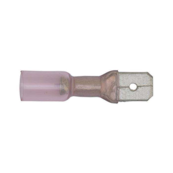 Sealey Clip Strip Deal - Heat Shrink Terminals MHSTSET Sealey - Town Tools 
