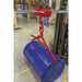 Sealey Forklift Lifting Hoist 1000kg Capacity FH01 Sealey - Town Tools 