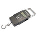 Silverline Electronic Pocket Balance 50kg Silverline - Town Tools 