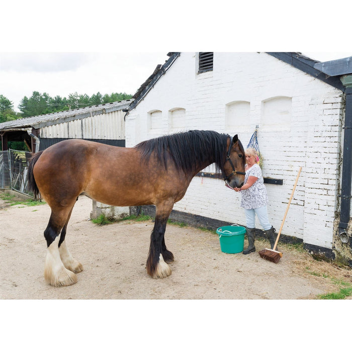 Draper Yard Broom, 330mm Draper - Town Tools