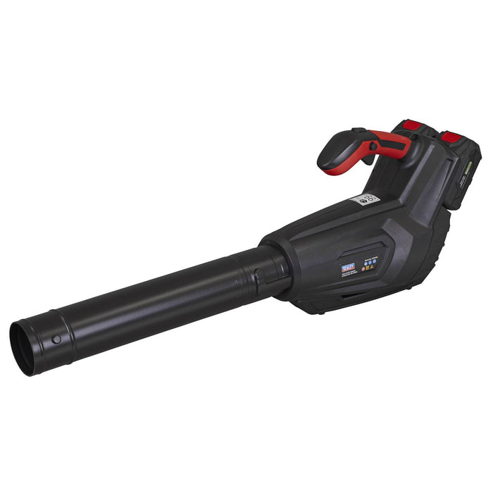 Sealey SV20 Series Cordless Blower 40V - Body Only CP40VB Sealey - Town Tools 
