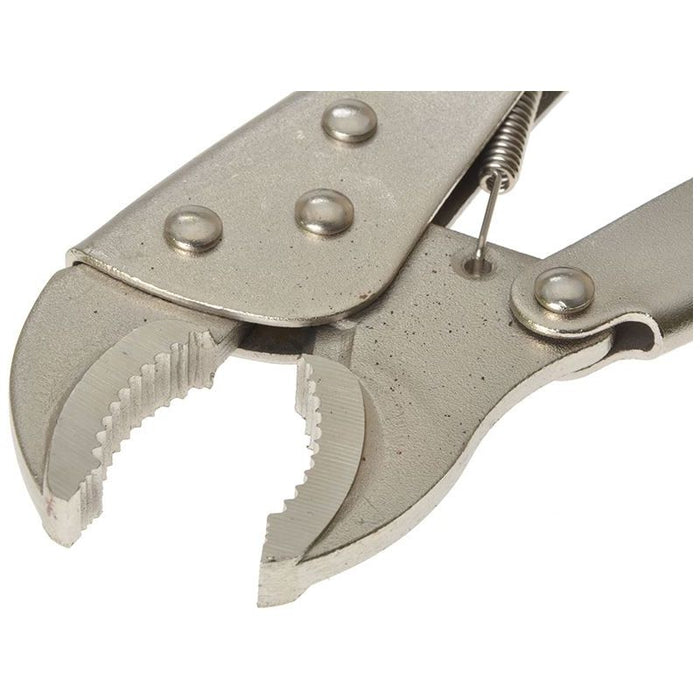 Bluespot Tools Locking Pliers 254mm (10in) BlueSpot Tools - Town Tools