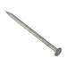 Forgefix Round Head Nail Galvanised 100mm Bag of 500g ForgeFix - Town Tools