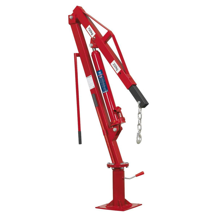 Sealey Static Mounted Crane 750kg SSC750 Sealey - Town Tools 