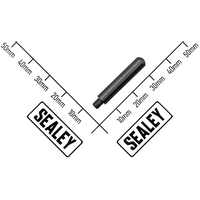 Sealey Air Valve Pin WFH-1040-11