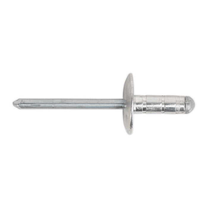 Sealey Clip Strip Deal - Aluminium Rivets RVSET Sealey - Town Tools 