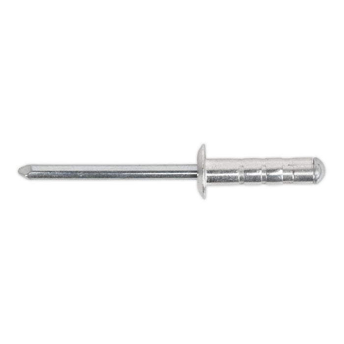 Sealey Clip Strip Deal - Aluminium Rivets RVSET Sealey - Town Tools 