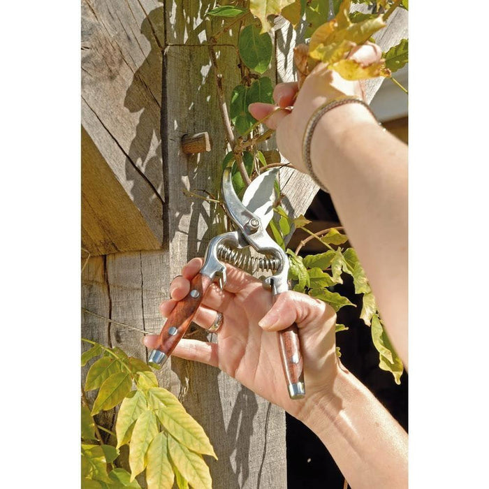 Draper Bypass Pattern Secateurs with Wooden Handles, 210mm 45317 Draper - Town Tools 