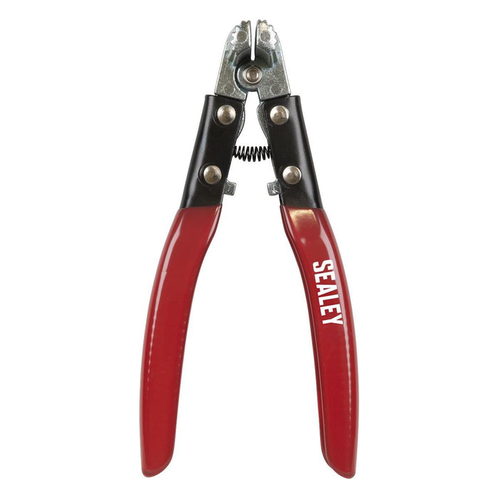 Sealey Terminal Spreader & Cleaner Tool Battery AK423 Sealey - Town Tools 