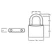 Squire LN5 Lion Brass Padlock 5-Pin 50mm Squire - Town Tools