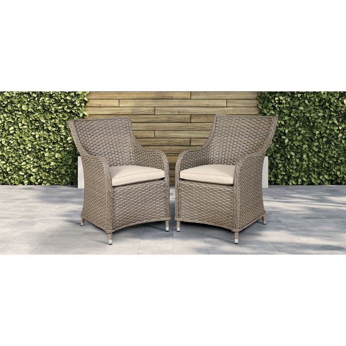 Dellonda Chester Rattan Wicker Outdoor Garden Dining Chairs 2pc DG64