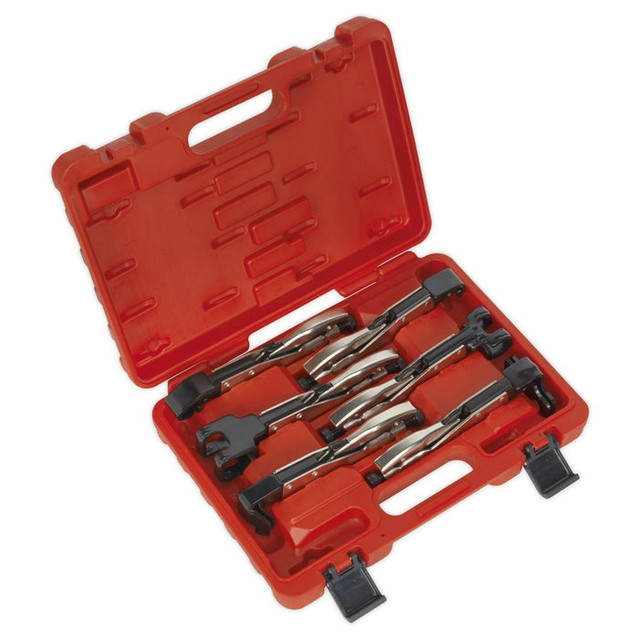 Sealey Axial Locking Grip Set 6pc AK68403 Sealey - Town Tools 