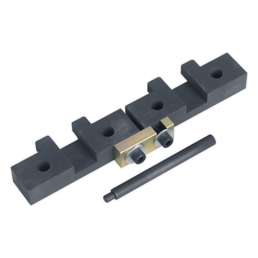 Sealey Petrol Engine Timing Tool Kit for BMW M42/M50/M52/M52TU/M54/M56 Chain Dri Sealey - Town Tools 