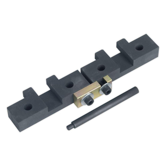 Sealey Petrol Engine Timing Tool Kit for BMW M42/M50/M52/M52TU/M54/M56 Chain Dri Sealey - Town Tools 