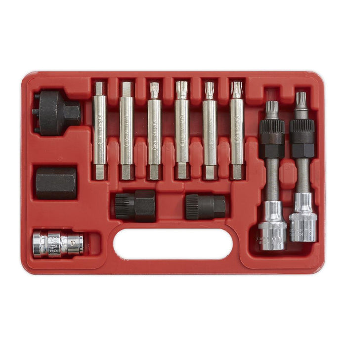 Sealey Alternator Freewheel Removal Set 13pc SX401 Sealey - Town Tools 