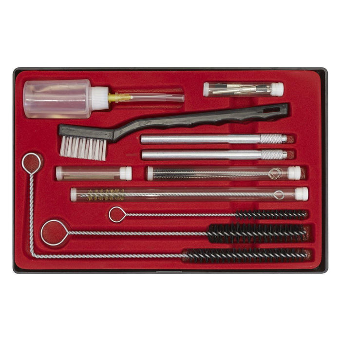 Sealey Spray Gun Cleaning Set 22pc BSGC5 Sealey - Town Tools 