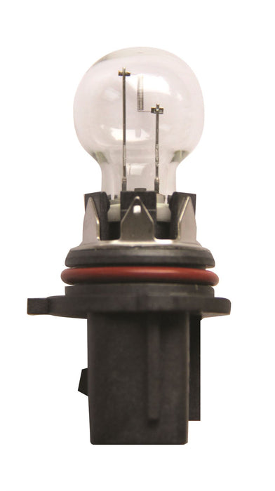 Ring R12277 P13W Hipervision Bulb
