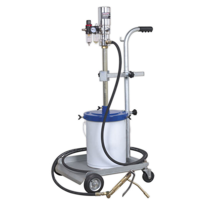 Sealey Air Operated Grease Pump 12.5kg AK452X Sealey - Town Tools 