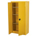 Sealey Hazardous Substance Cabinet 900 x 460 x 1800mm FSC03 Sealey - Town Tools 