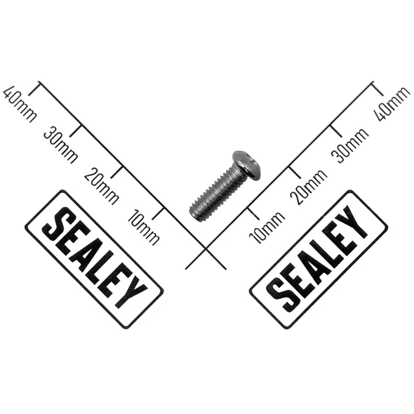Sealey Carbon Brush Holder Screw (A)
