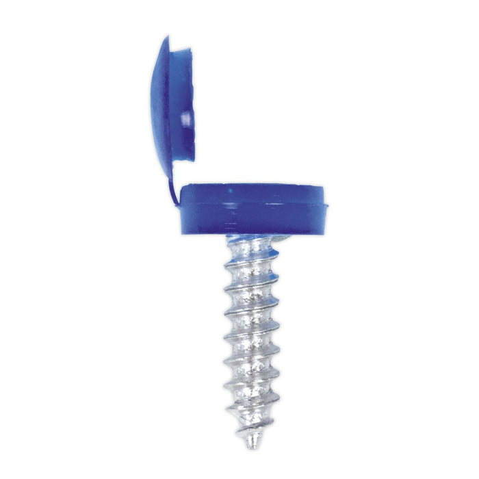 Sealey Clip Strip Deal - Mixed Numberplate Screws NPSSET Sealey - Town Tools 