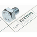 Sealey Screw(so)