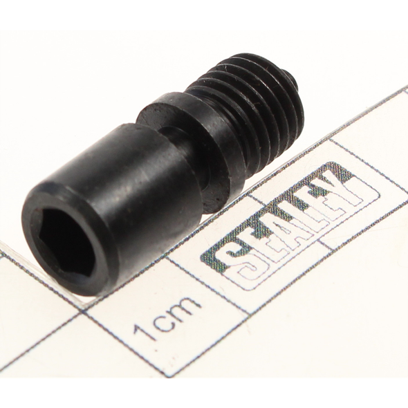Sealey Screw