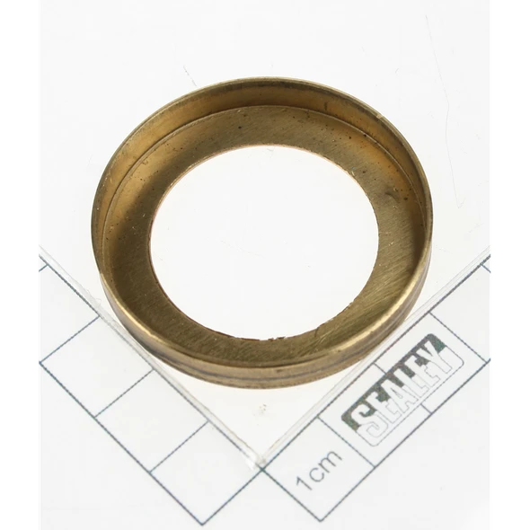 Sealey Bushing