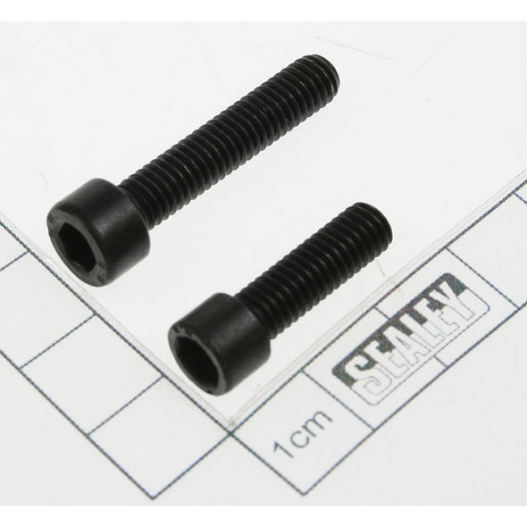 Sealey Screw set (m6x30 & m6x20 socket head)