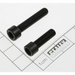 Sealey Screw set (m6x30 & m6x20 socket head)