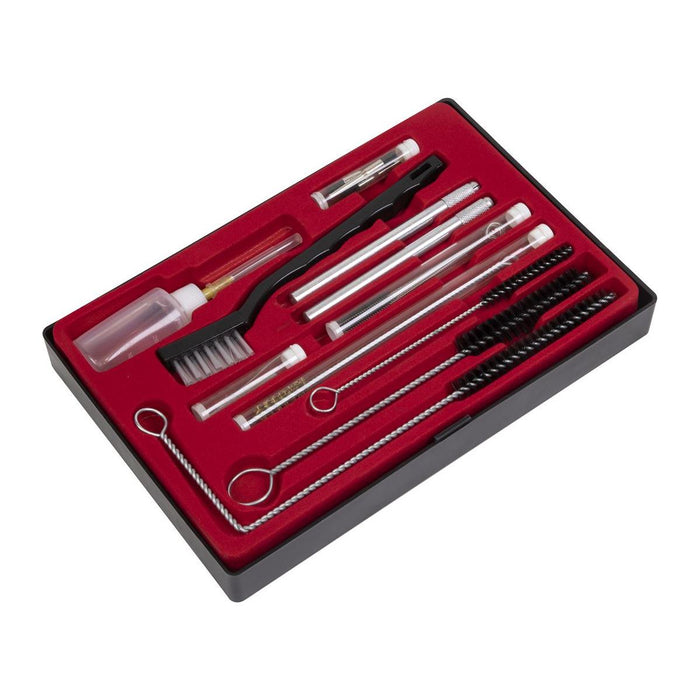 Sealey Spray Gun Cleaning Set 22pc BSGC5 Sealey - Town Tools 