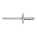 Sealey Clip Strip Deal - Aluminium Rivets RVSET Sealey - Town Tools 