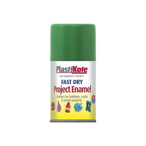 Plastikote Fast Dry Enamel Aerosol Garden Green 100ml PlastiKote - Town Tools