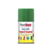 Plastikote Fast Dry Enamel Aerosol Garden Green 100ml PlastiKote - Town Tools