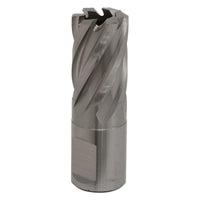 Sealey Rotabor Cutter HSS19mm Cut Depth 25mm RBHSS19S