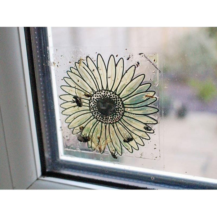 Rentokil Advanced Window Fly Traps (Pack 4) Rentokil - Town Tools