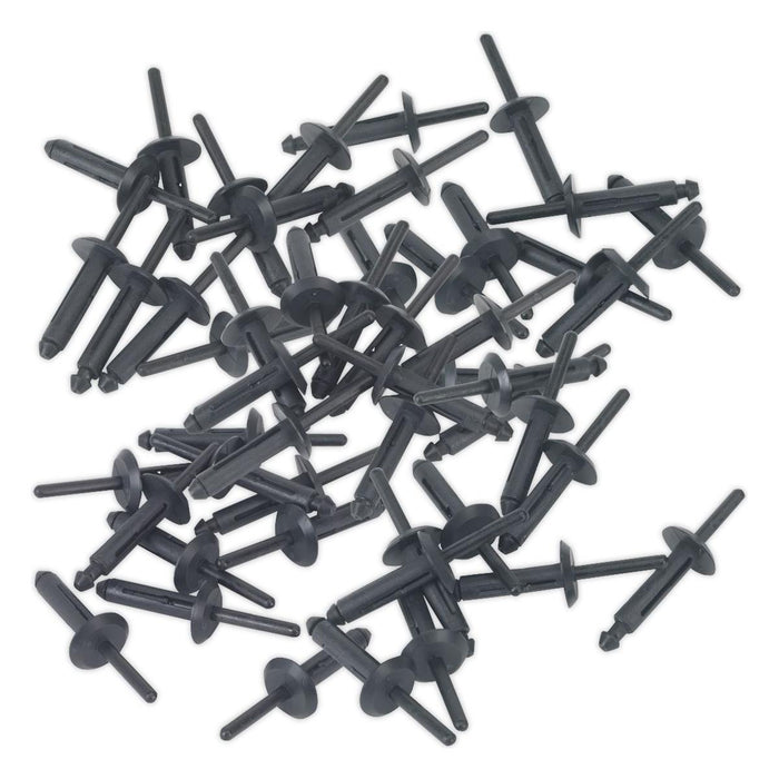 Sealey Plastic Rivet6.3 x 25.2mm Pack of 50 PR002 Sealey - Town Tools 