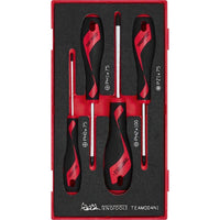 Teng Tools Screwdriver Set PH/PZ FOAM1 4 Pieces