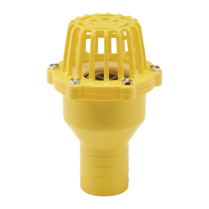 Draper Foot Valve Strainer, 50mm/2" 19548 Draper - Town Tools 