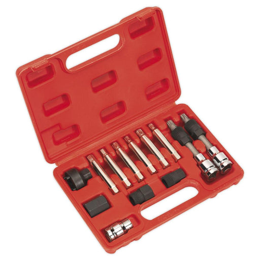 Sealey Alternator Freewheel Removal Set 13pc SX401 Sealey - Town Tools 