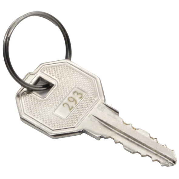 Sealey Spare Key (Key Number: 293)