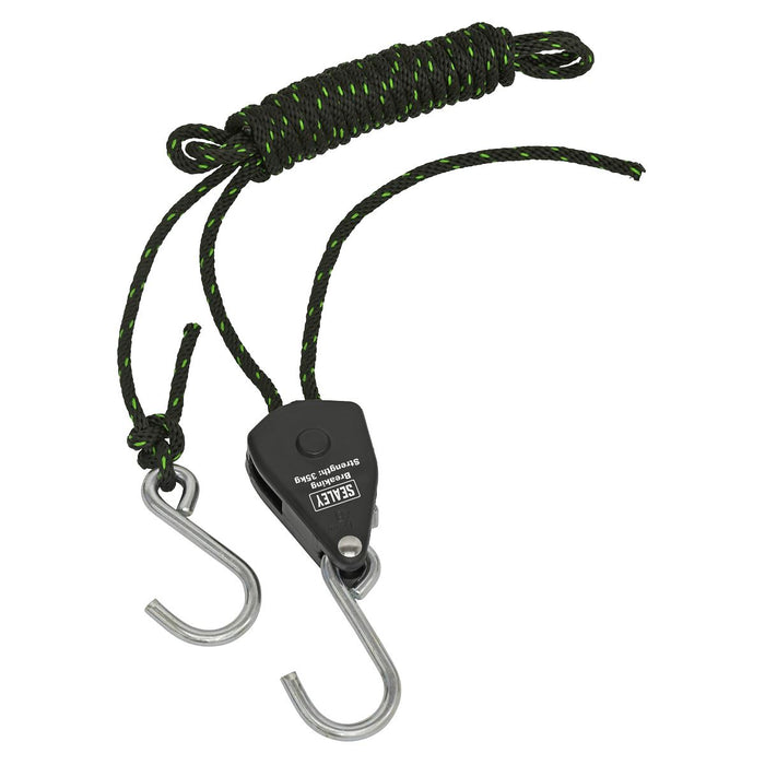 Sealey Parts Hanger/Tie Down Ratchet with S-Shaped Hooks 2m - Pack of 2 VS0118 Sealey - Town Tools 