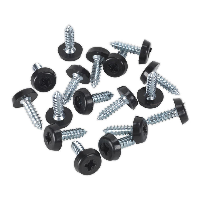 Sealey Clip Strip Deal - Mixed Numberplate Screws NPSSET Sealey - Town Tools 