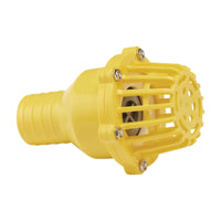 Draper Foot Valve Strainer, 50mm/2" 19548